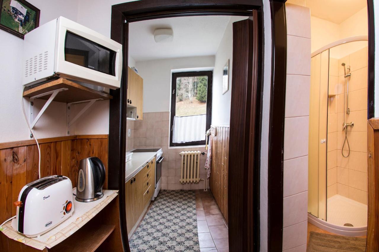 Apartman Braun 捷克布杰约维采 外观 照片