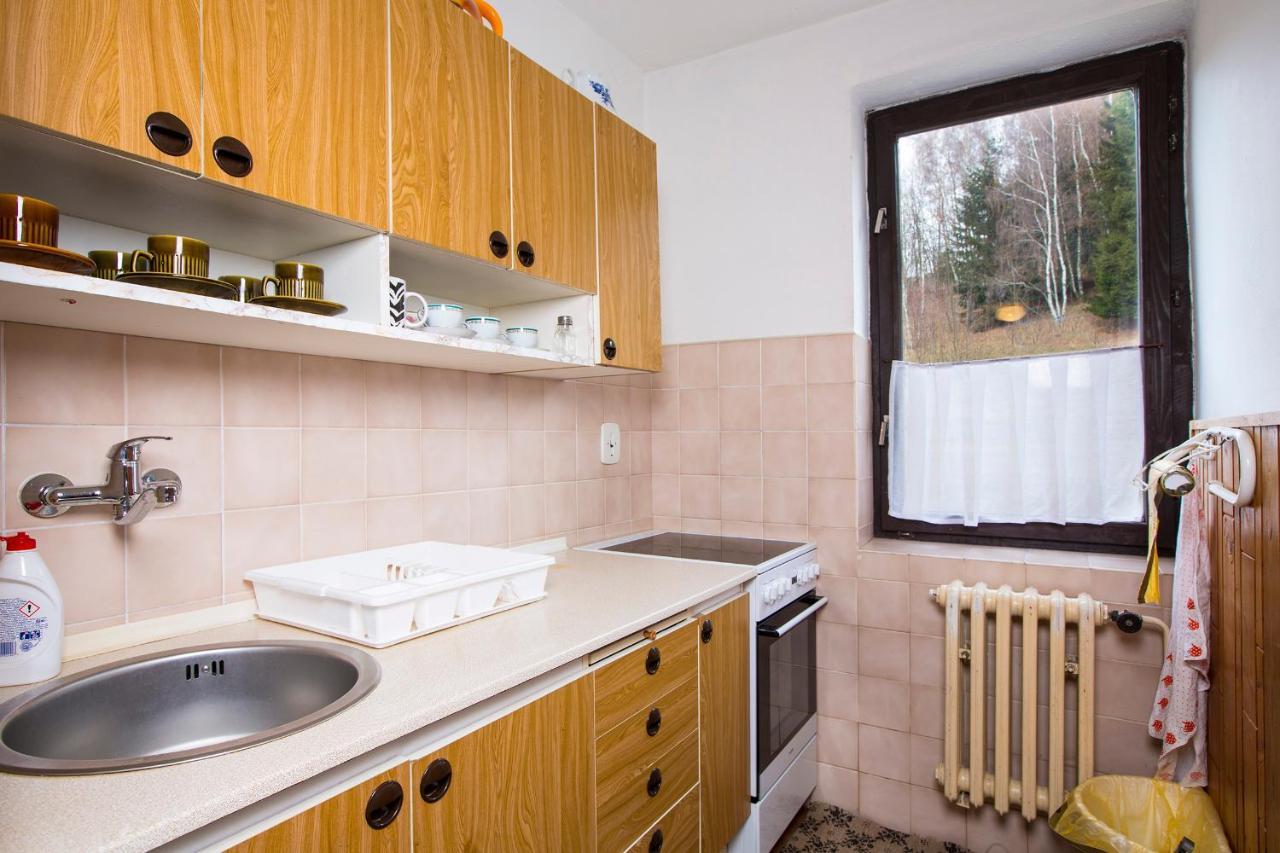 Apartman Braun 捷克布杰约维采 外观 照片